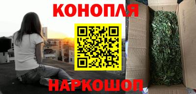 Альфа ПВП Славгород