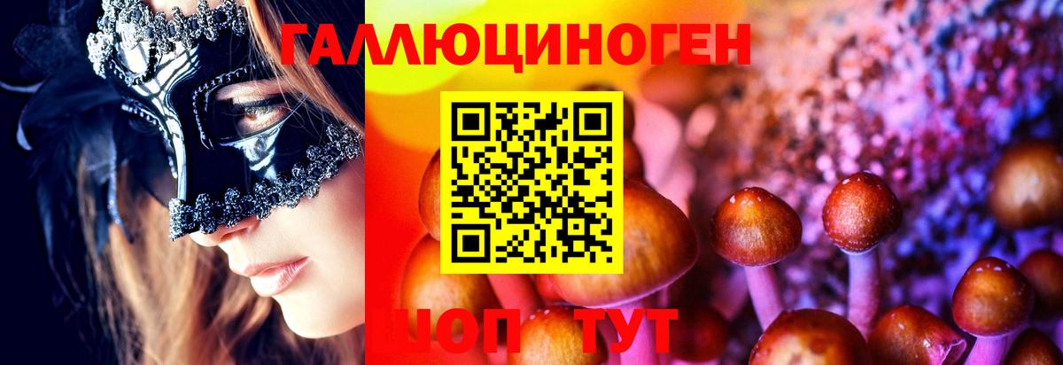 Галлюциногенные грибы MAGIC MUSHROOMS Дагестанские Огни